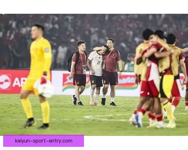 FIFA转播高价超20亿官网无中文引发球迷强烈不满